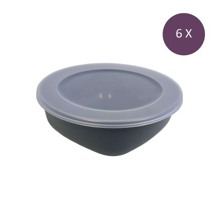 6 boîtes avec couvercle de 1.3 litres